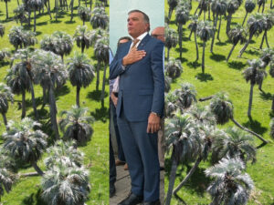 El Palmar, hacemos algo o veremos su extinción